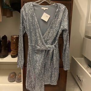 Karlie silver shimmer  dress